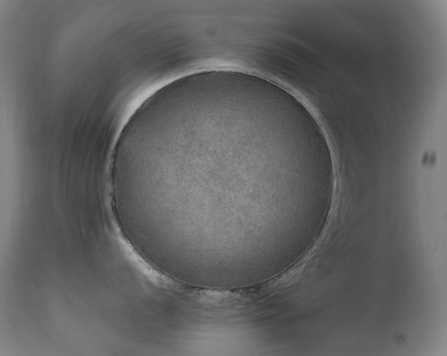 X0000111471056200907131514