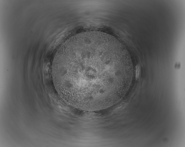 X0000111471059200907131513
