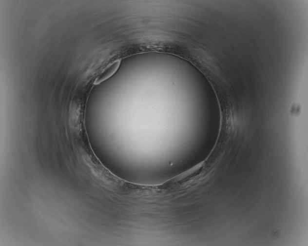 X0000111471060200907131513