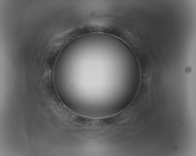 X0000111471061200907131513