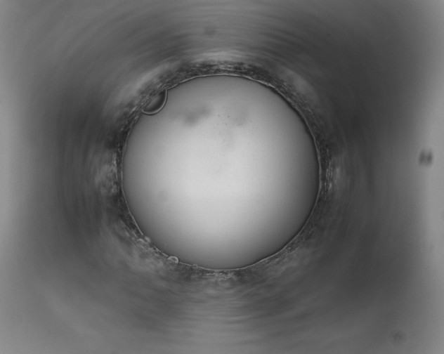 X0000111471062200907131513