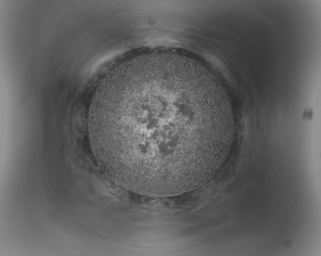 X0000111471063200907131513