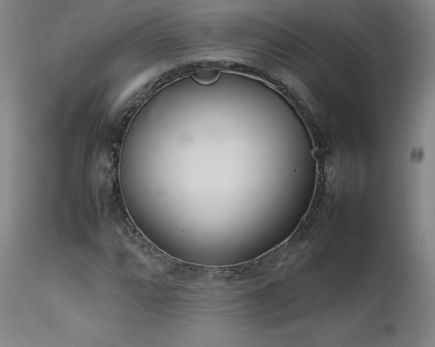 X0000111471064200907131513