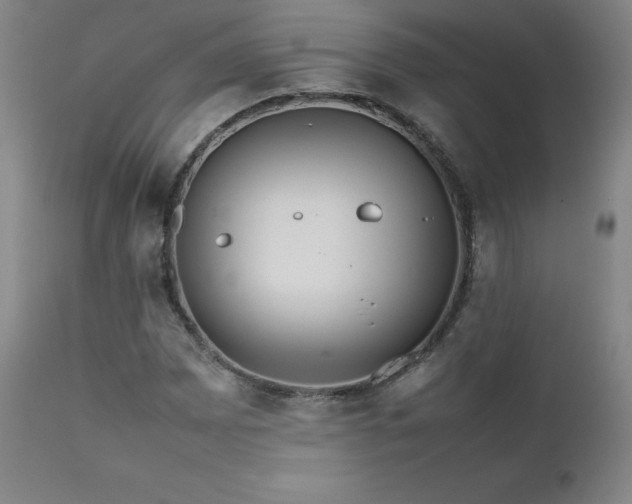 X0000111471065200907131513
