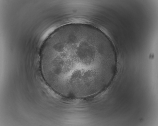 X0000111471067200907131513