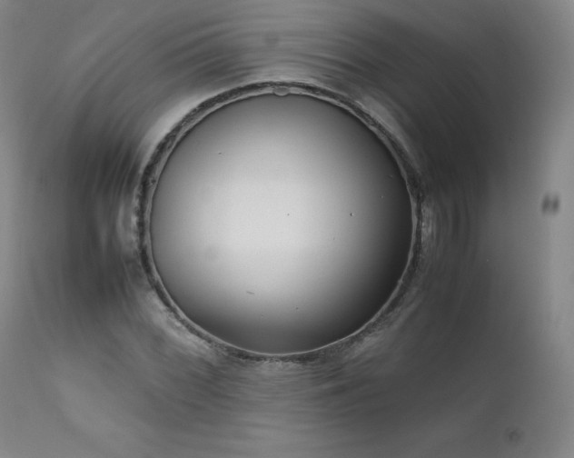 X0000111471068200907131513