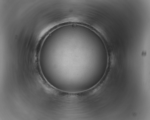 X0000111471070200907131513