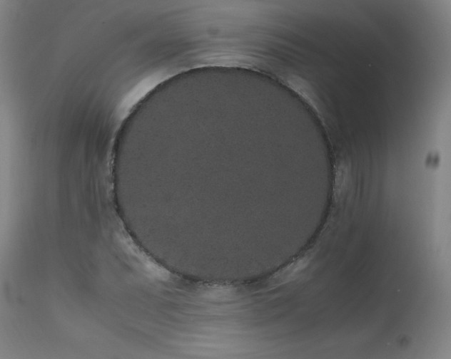 X0000111471071200907131513