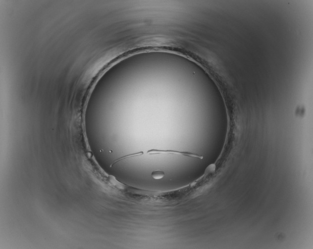 X0000111471073200907131513