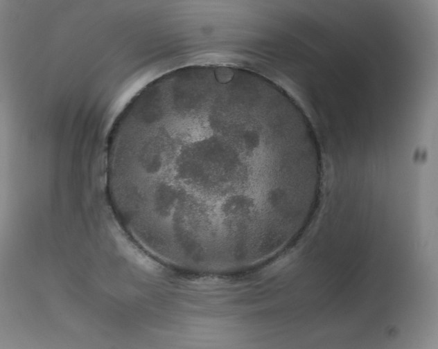 X0000111471075200907131513