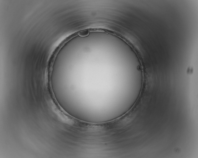 X0000111471076200907131513
