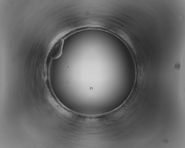 X0000111471080200907131513