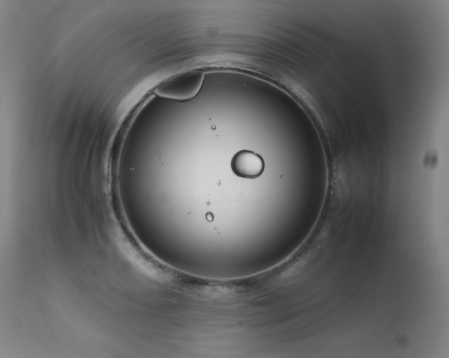 X0000111471082200907131513