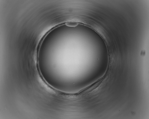 X0000111471084200907131513