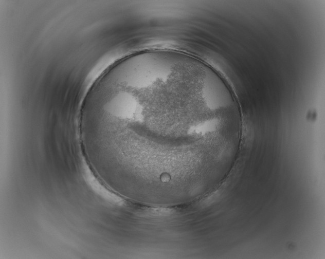 X0000111471090200907131513