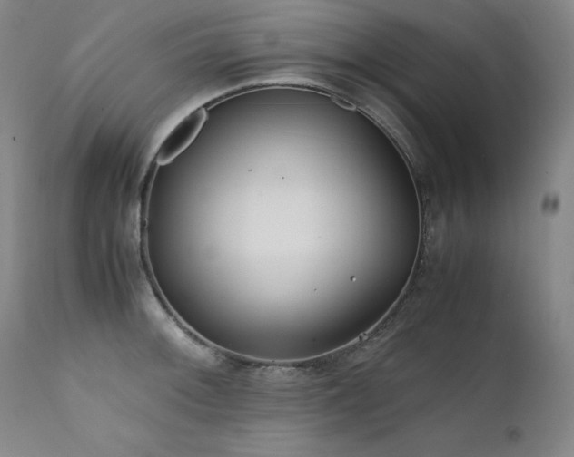X0000111471092200907131513