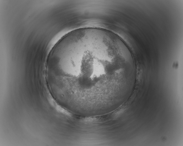 X0000111471094200907131513