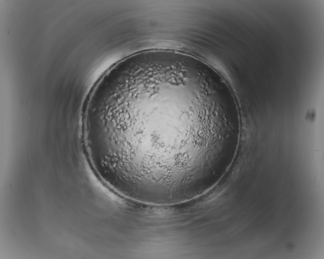X0000111471095200907131513