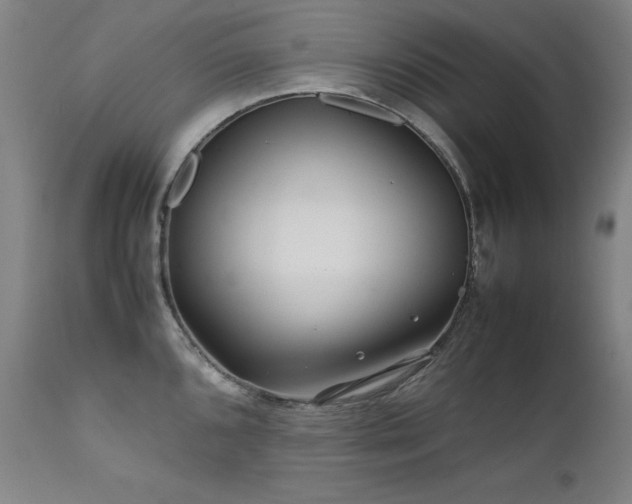 X0000111471096200907131513