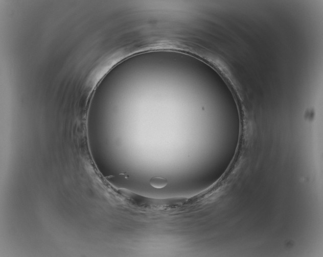 X0000111471097200907131513