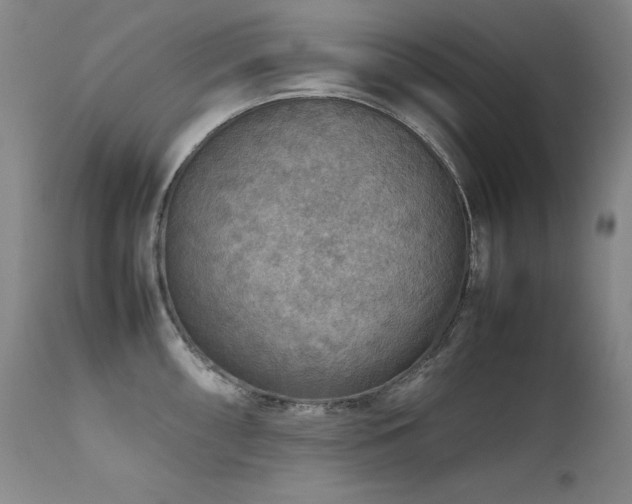 X0000111471098200907131513