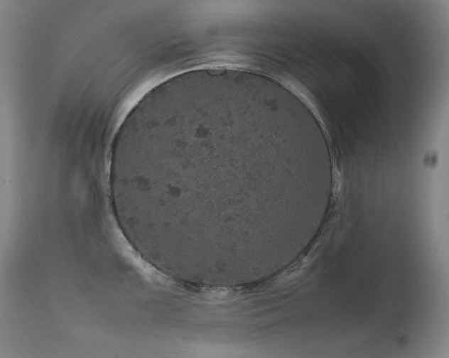 X0000111471099200907131513