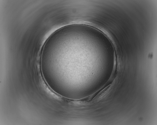 X0000111471102200907131513