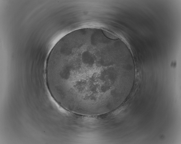X0000111471103200907131513