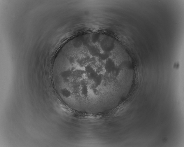 X0000111471105200907131512