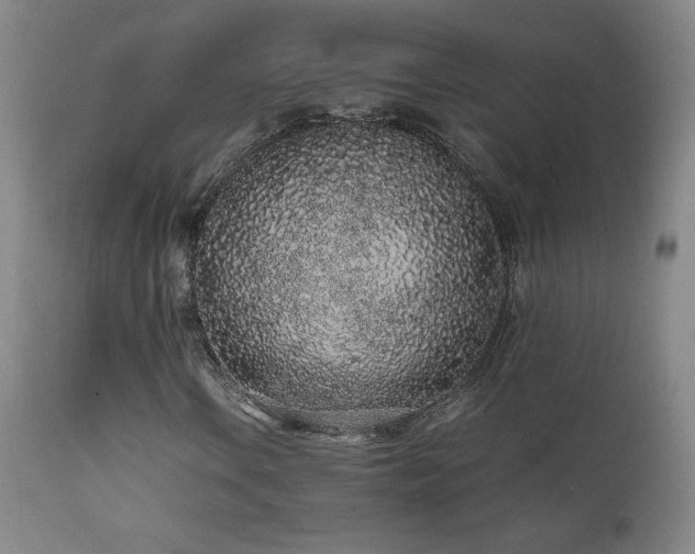 X0000111471106200907131512