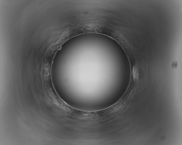 X0000111471107200907131512