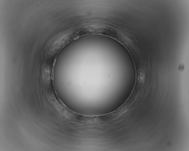 X0000111471108200907131512