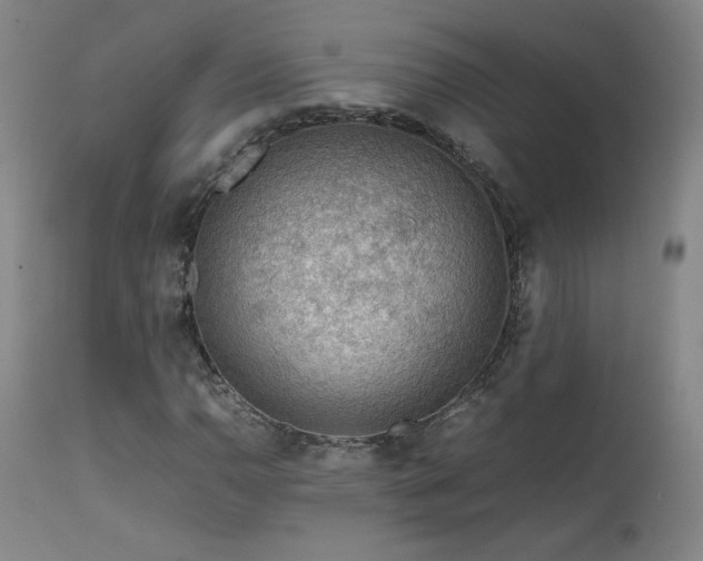 X0000111471110200907131512