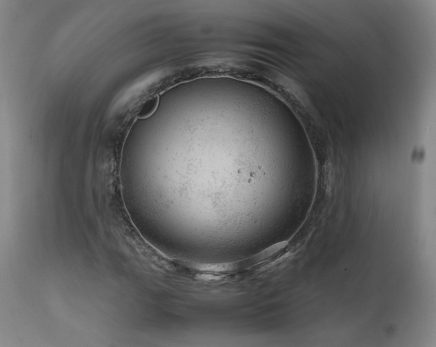 X0000111471111200907131512