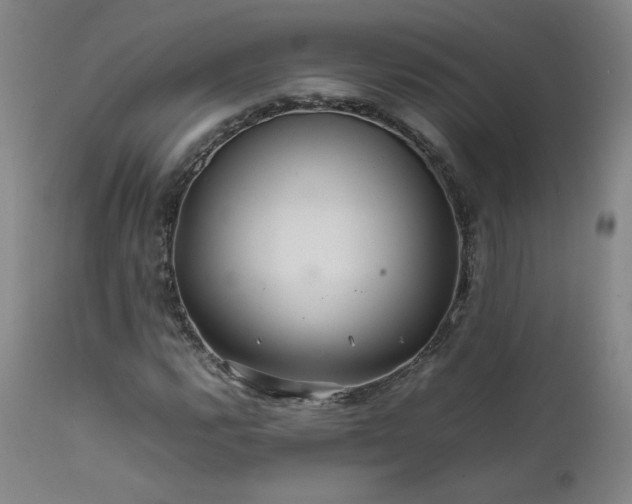X0000111471112200907131512
