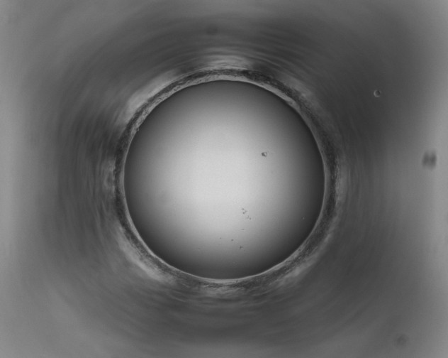 X0000111471113200907131512