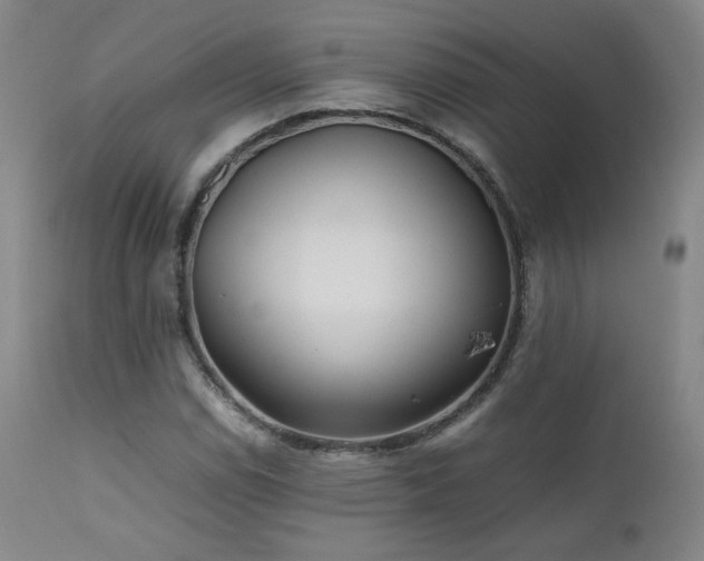 X0000111471114200907131512