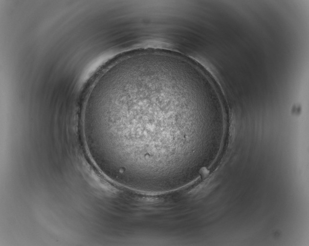 X0000111471115200907131512