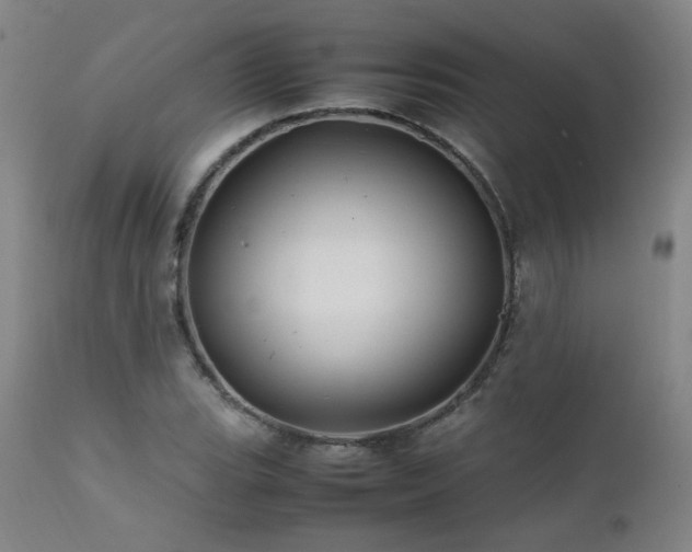 X0000111471119200907131512