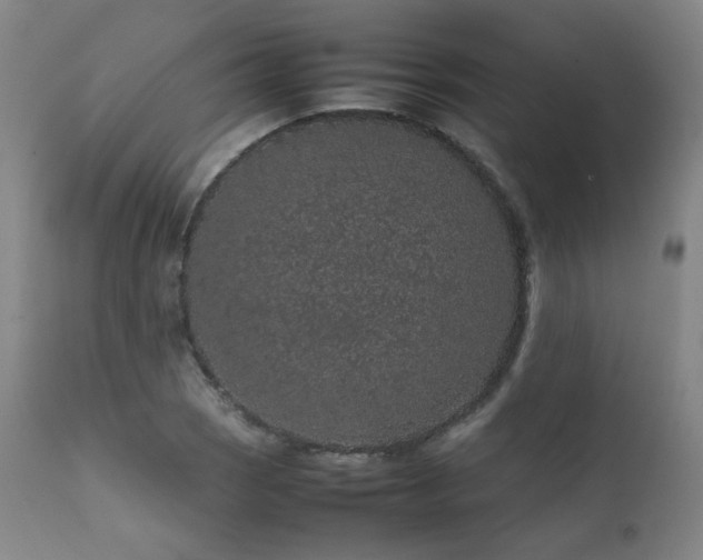 X0000111471121200907131512