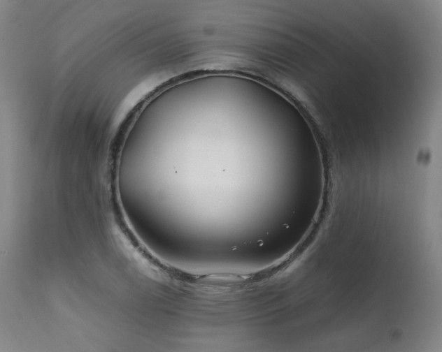 X0000111471122200907131512
