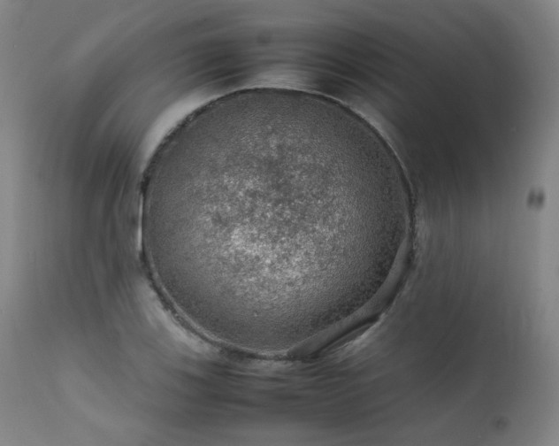 X0000111471123200907131512