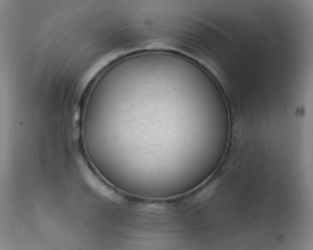 X0000111471126200907131512
