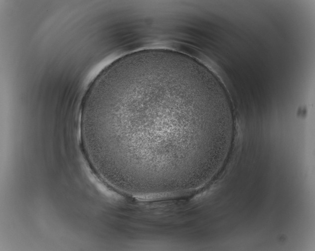 X0000111471127200907131512