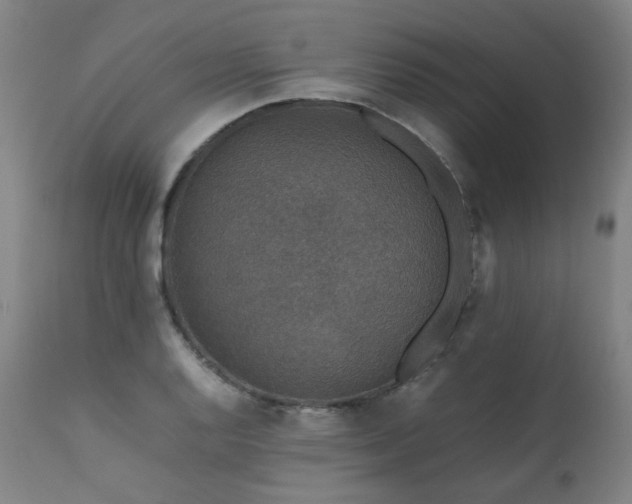 X0000111471128200907131512