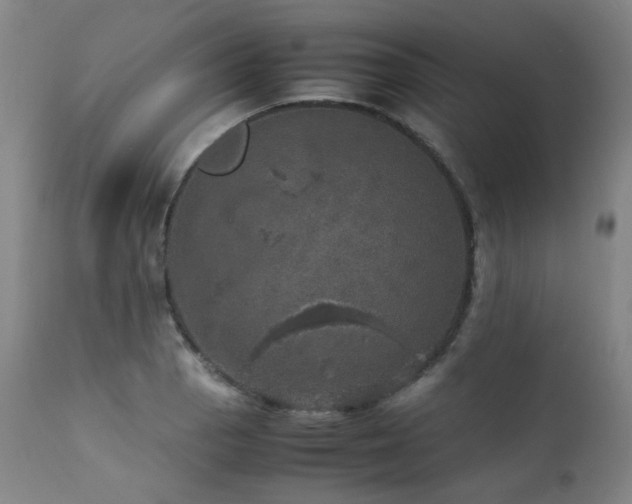 X0000111471129200907131512