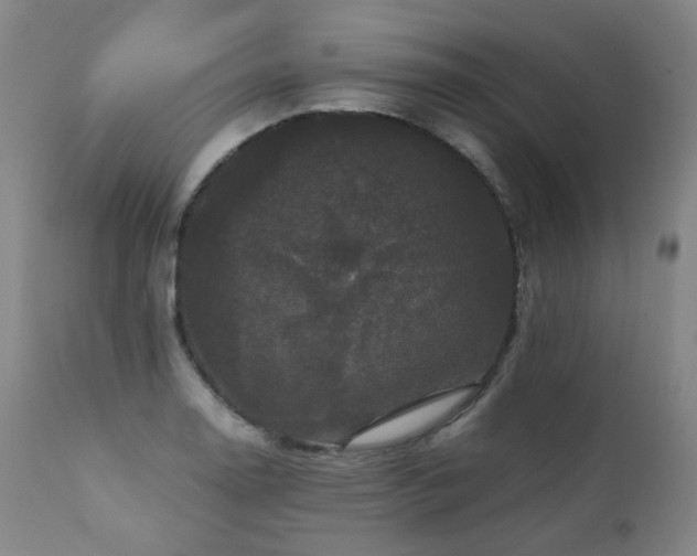 X0000111471130200907131512
