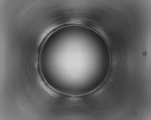 X0000111471131200907131512
