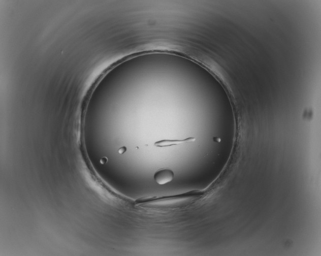 X0000111471132200907131512