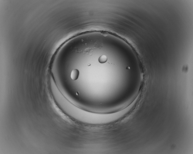 X0000111471134200907131512